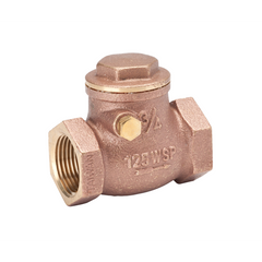 Brass Swing Check Valve, 1"
