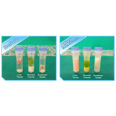 BeadBug™3 Microtube homogenizer, 115V