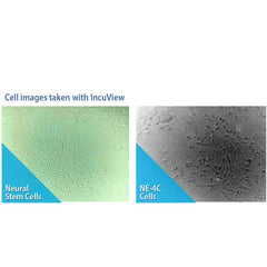 SureTherm™ CO? Incubator Series with IncuView™ LCI