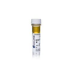 Accuris SmartCheck™ 50bp DNA Ladder, 500µl / 100 lanes