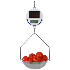 SCS30 Solar Hanging Scale