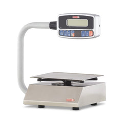 10 lb. pizza / portion scale