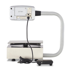 10 lb. pizza / portion scale