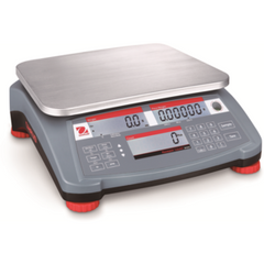 Counting Scale, RC31P3       AM