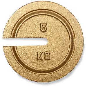 Weight 2P CI Slot 5kg CL6 Non-Accrd TR