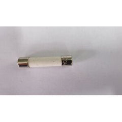 Fuse N-RST,6.3X32,20A,125V