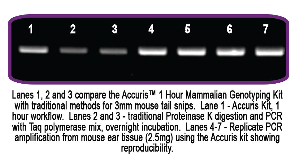 Accuris 1 Hour Mammalian Genotyping kit
