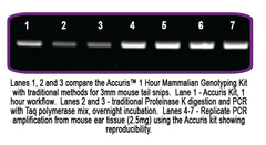 Accuris 1 Hour Mammalian Genotyping kit