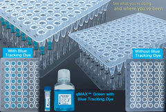 Accuris qMAX™ Green qPCR mix with blue tracking dye, No ROX, sample, 20 reactions