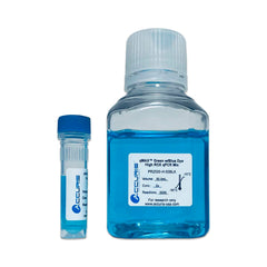 Accuris qMAX™ Green qPCR mix with blue tracking dye, No ROX, sample, 20 reactions