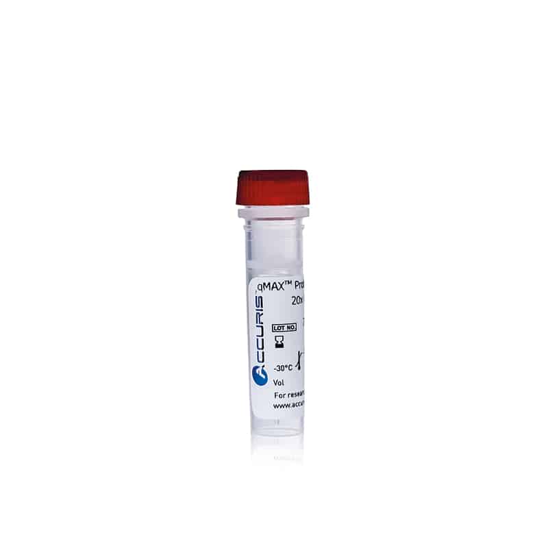Accuris qMAX Probe, No Rox qPCR Mix, Sample