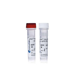 Accuris qMAX Green One-Step RT-qPCR Kit, No Rox, 100 reactions