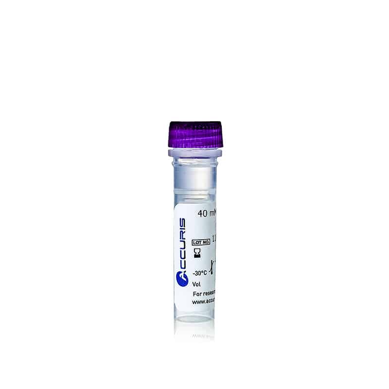 40mM dNTP Mix, ready-to-use, 10mM/20?mol each, 0.5ml