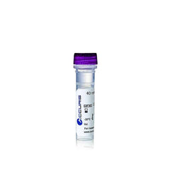 40mM dNTP Mix, ready-to-use, 10mM/20?mol each, 0.5ml