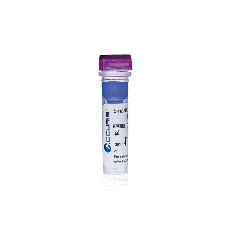 Accuris SmartCheck™ 50bp DNA Ladder, 500µl / 100 lanes