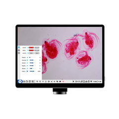 VE-SCOPEPAD Microscope Tablet with Digital Camera