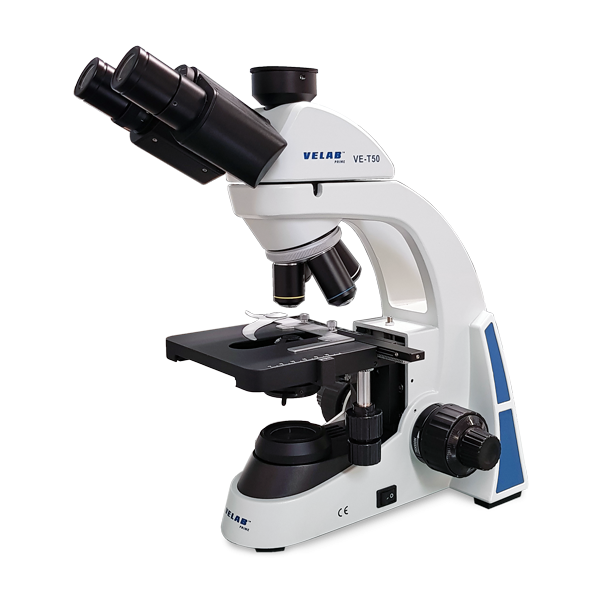 VE-T50 Trinocular Microscope