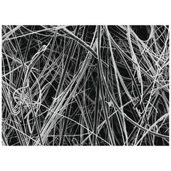 Filter, Glass Fiber w/o Binder