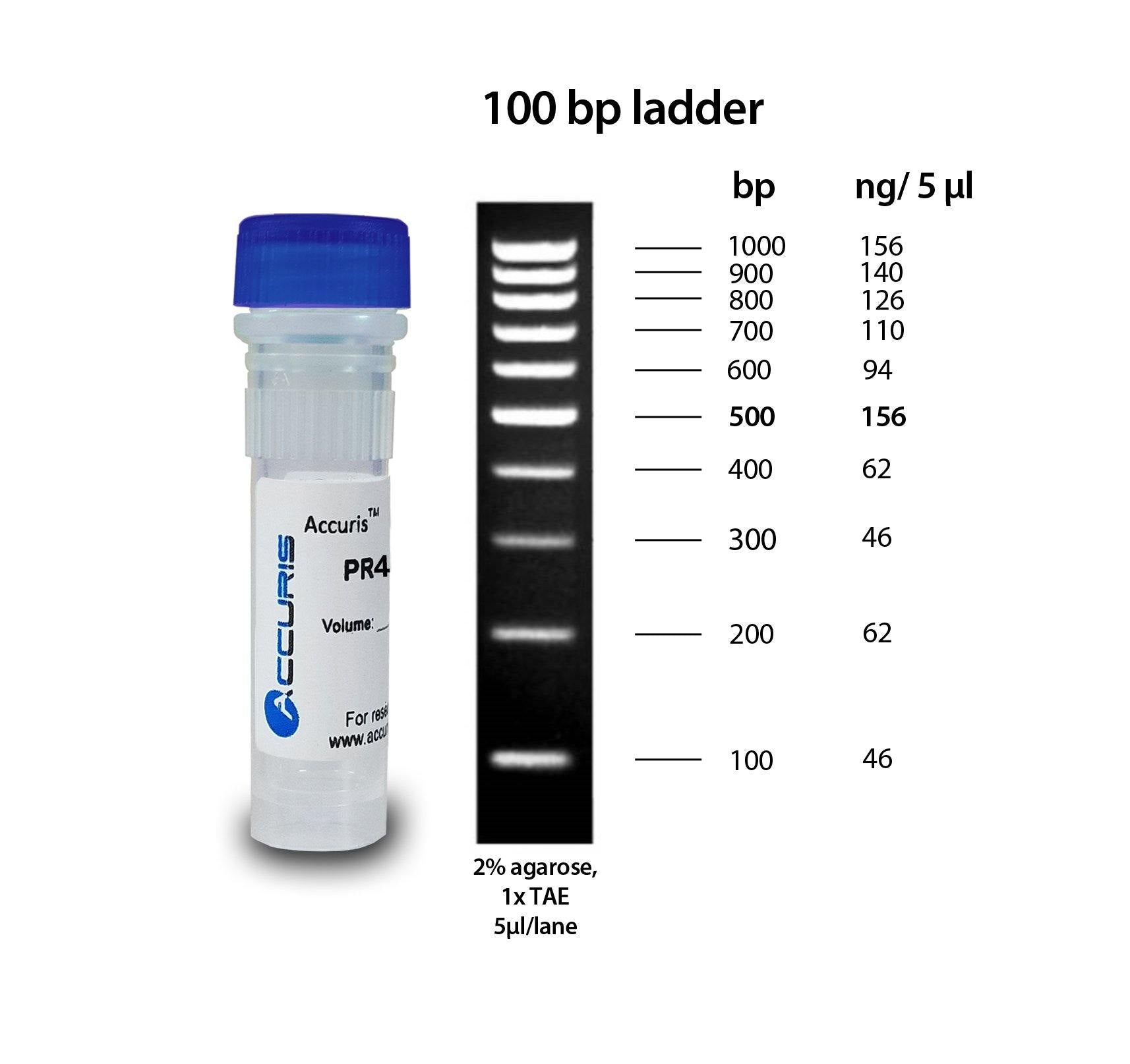 Accuris PR4010-100 SmartCheck 100bp DNA Ladder, 500ul / 100 lanes