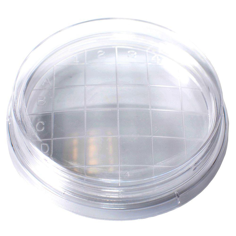 Bioplast 1000 65 x 15 mm Slippable Petri Dish, Convex Bottom