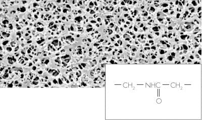 sartorius 25006--13------N Polyamide Membrane Filters / Type 25006, 0.45Âµm, 13mm (Pack of 100)