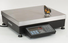 Pennsylvania Scale Company 7600-100, 100 x 0.01 lb, Standard 7600 Count Weigh Scale with 4 Year Warranty