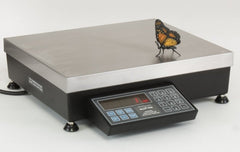 Pennsylvania Scale Company 7600-20 DB, 20 x 0.002 lb, Standard 7600 Count Weigh Scale With Dual Base Input Option - 4 Year Warranty