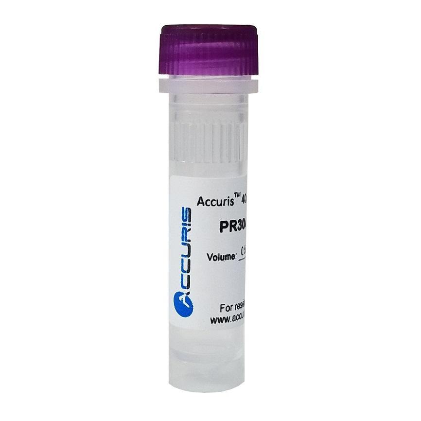 Accuris PR3040-M-4 40mM dNTP Mix (10mM/80Âµm each), 2ml