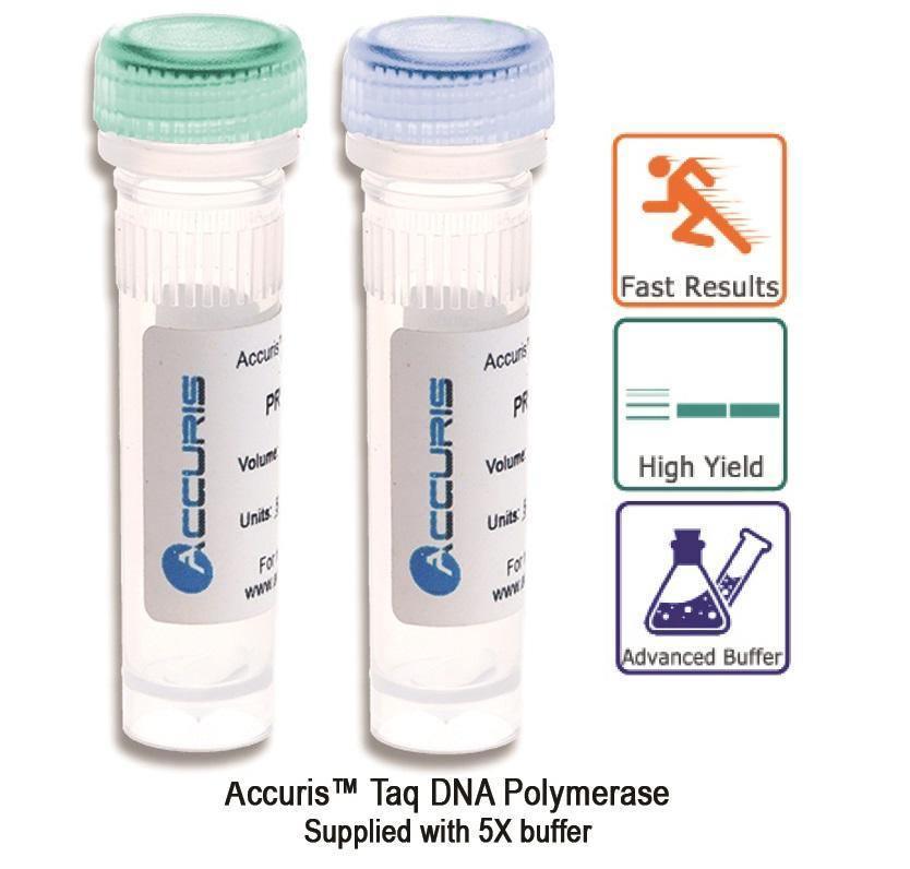 Accuris PR1000-S Taq Polymerase, Sample, 50 Units