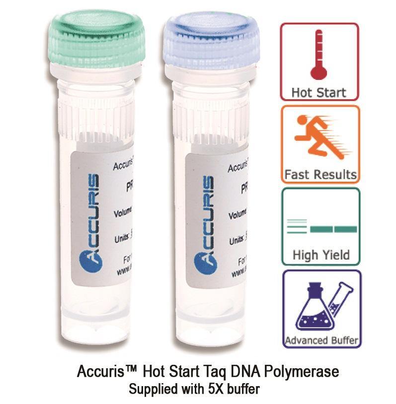 Accuris PR1000-HS-500 Hot Start Taq, 500 units