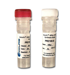 Accuris PR2100-C-25 qMax cDNA Synthesis Kit, 25 reactions