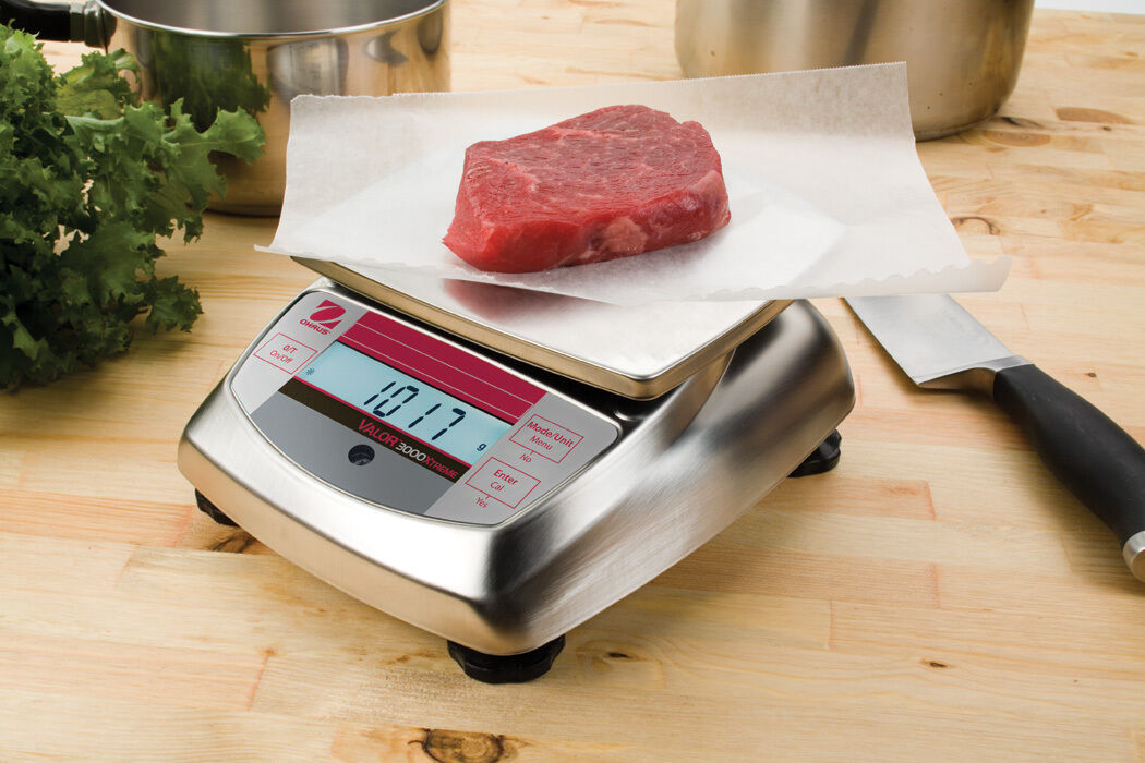 OHAUS VALOR V31X501 500g 0.1g STAINLESS STEEL COMPACT PRECISION FOOD SCALE WRNTY