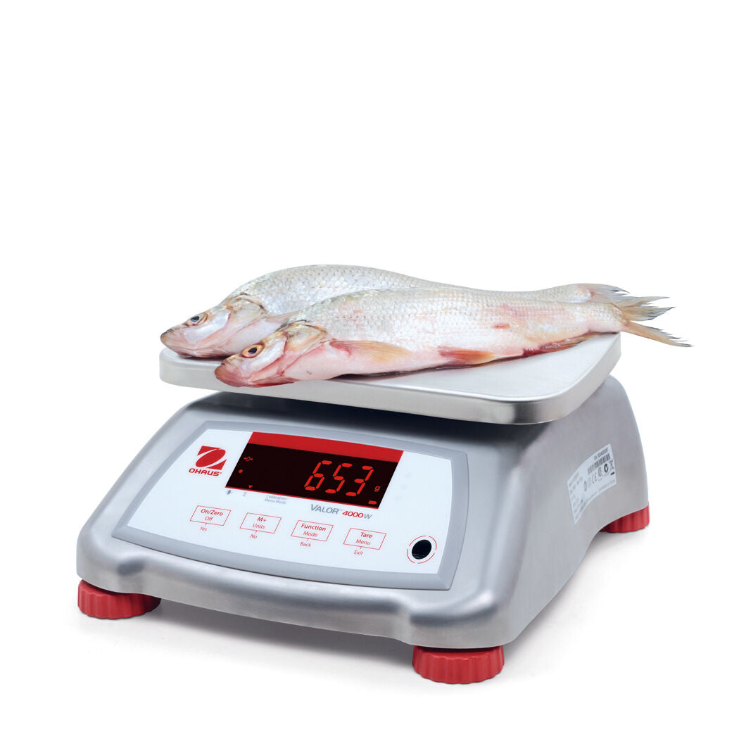 OHAUS VALOR V41XWE3T 3000g 0.5g WATER RESISTANT COMPACT FOOD SCALE 1Y WaRRNTY NTEP