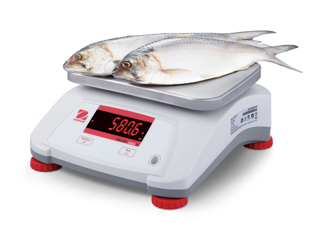 OHAUS VALOR V22PWE1501T Water Resistant Compact Food Scale