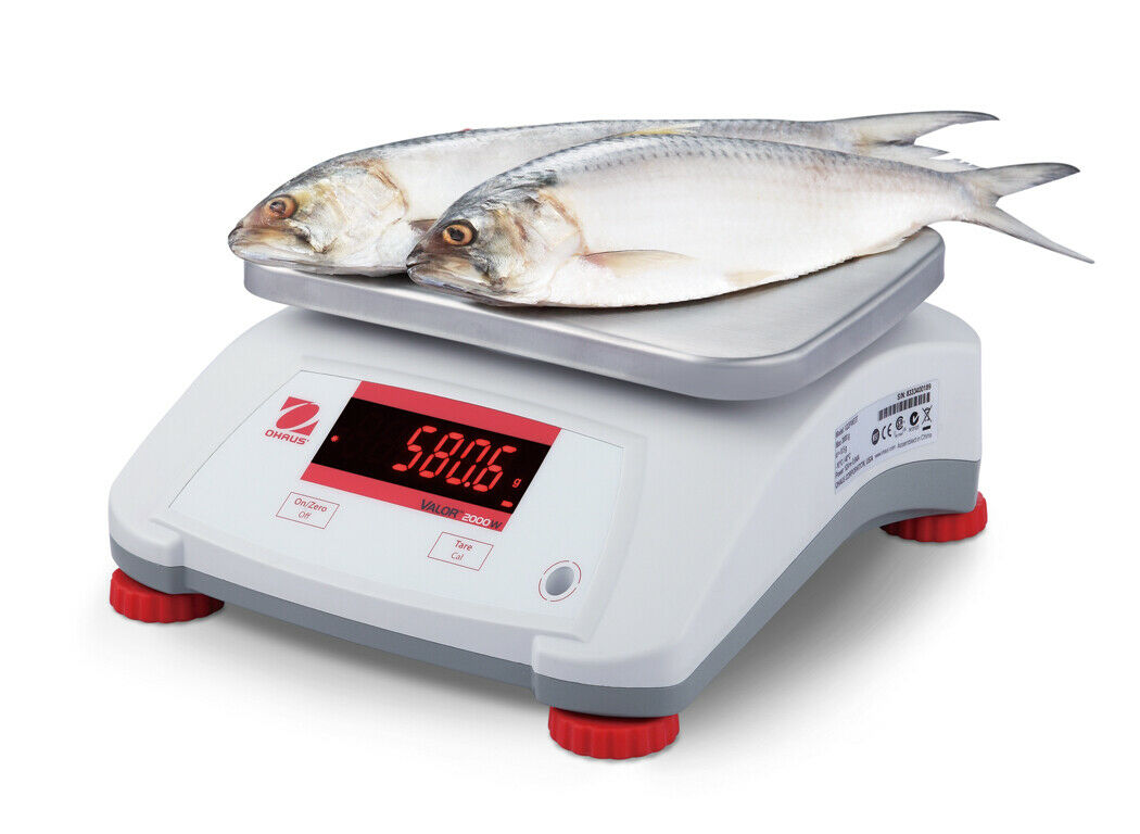 Ohaus V22PWE30T AM Valor 2000 Compact Food Bench Scale