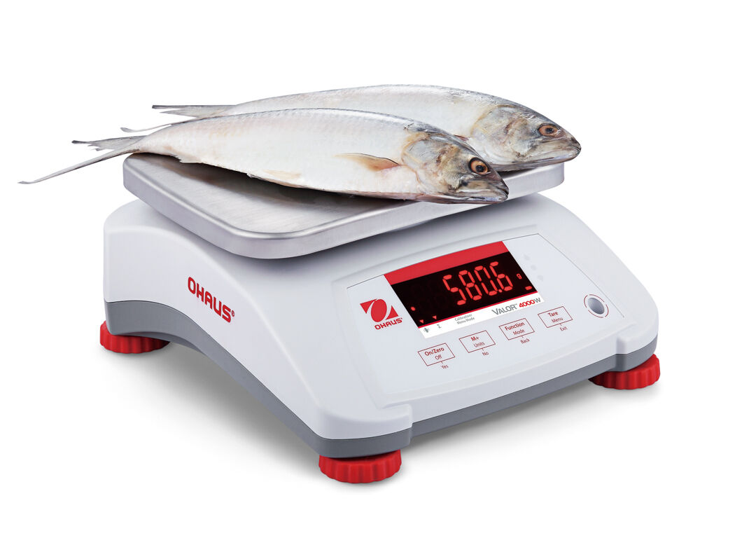 OHAUS VALOR V41PWE6T 6000g 1g WATER RESISTANT COMPACT FOOD SCALE